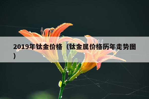 2019年钛金价格（钛金属价格历年走势图）