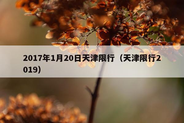2017年1月20日天津限行（天津限行2019）