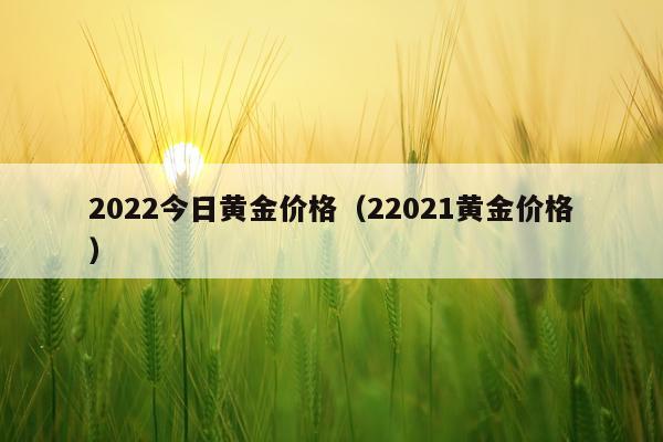 2022今日黄金价格（22021黄金价格）