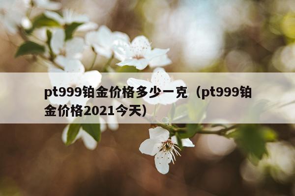 pt999铂金价格多少一克（pt999铂金价格2021今天）