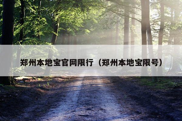 郑州本地宝官网限行（郑州本地宝限号）