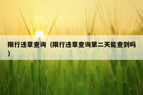 限行违章查询（限行违章查询第二天能查到吗）