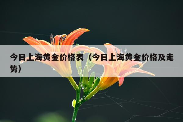 今日上海黄金价格表（今日上海黄金价格及走势）