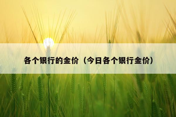 各个银行的金价(今日各个银行金价)