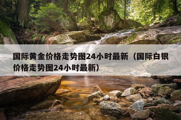国际黄金价格走势图24小时最新（国际白银价格走势图24小时最新）