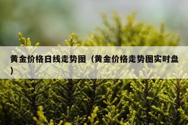 黄金价格日线走势图（黄金价格走势图实时盘）