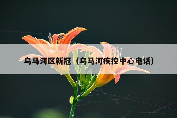 乌马河区新冠（乌马河疾控中心电话）