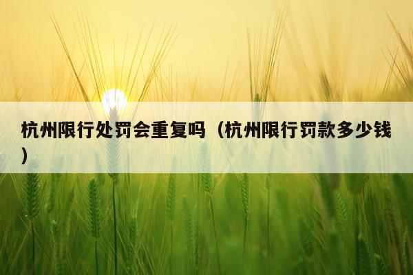 杭州限行处罚会重复吗（杭州限行罚款多少钱）
