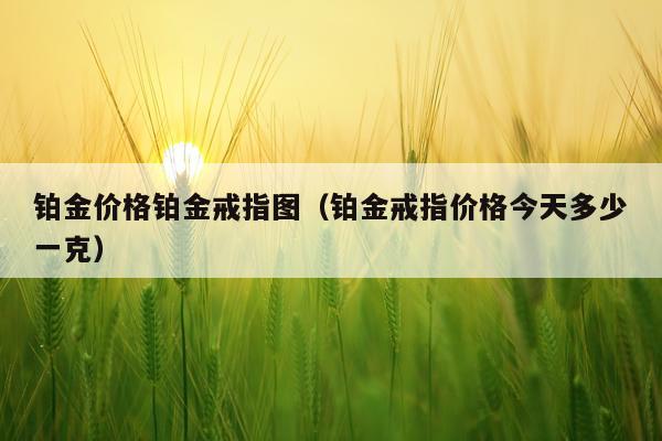 铂金价格铂金戒指图（铂金戒指价格今天多少一克）