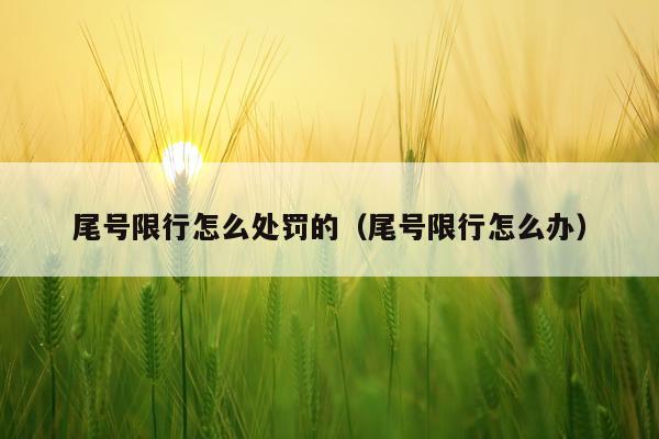 尾号限行怎么处罚的（尾号限行怎么办）