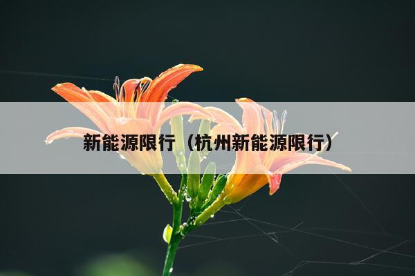 新能源限行（杭州新能源限行）