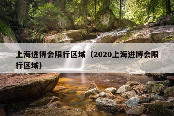 上海进博会限行区域（2020上海进博会限行区域）