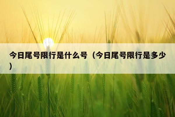 今日尾号限行是什么号（今日尾号限行是多少）