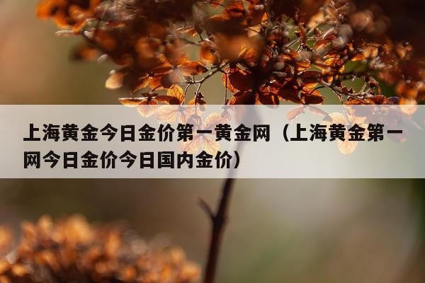 上海黄金今日金价第一黄金网（上海黄金第一网今日金价今日国内金价）