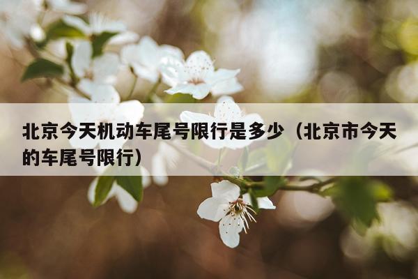 北京今天机动车尾号限行是多少（北京市今天的车尾号限行）