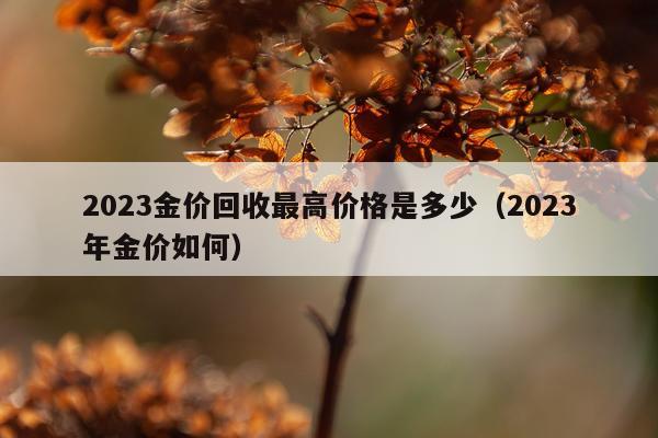 2023金价回收最高价格是多少（2023年金价如何）