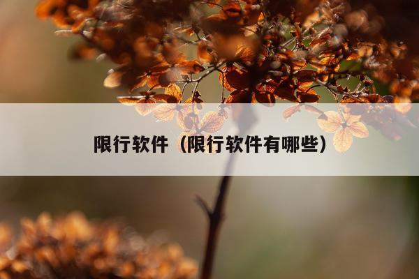 限行软件（限行软件有哪些）