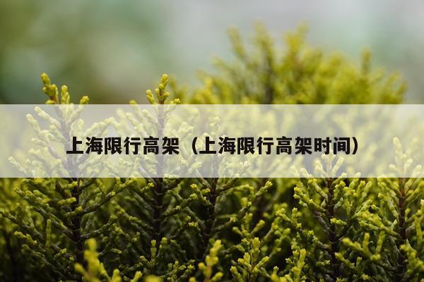 上海限行高架（上海限行高架时间）