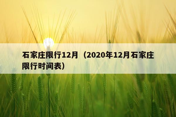 石家庄限行12月（2020年12月石家庄限行时间表）