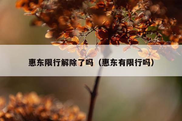 惠东限行解除了吗（惠东有限行吗）