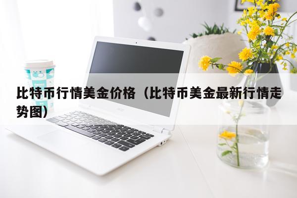 比特币行情美金价格（比特币美金最新行情走势图）