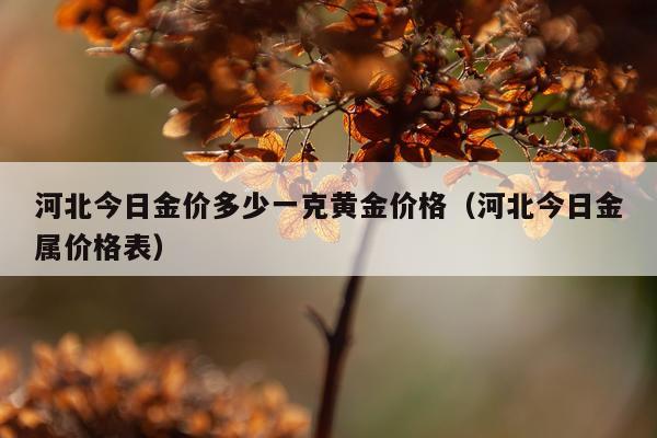 河北今日金价多少一克黄金价格（河北今日金属价格表）