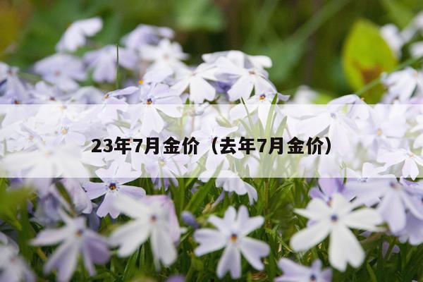 23年7月金价（去年7月金价）