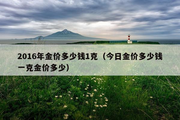 2016年金价多少钱1克（今日金价多少钱一克金价多少）