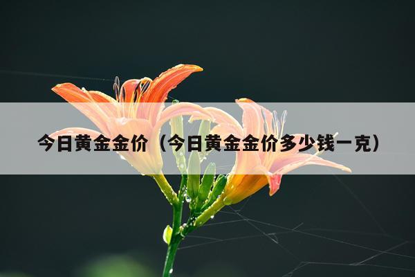 今日黄金金价（今日黄金金价多少钱一克）
