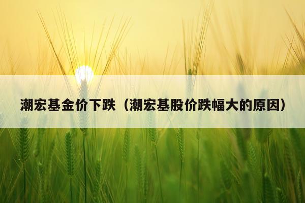 潮宏基金价下跌（潮宏基股价跌幅大的原因）
