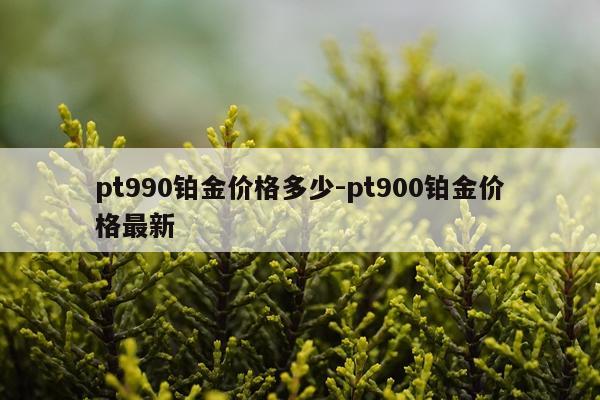 pt990铂金价格多少-pt900铂金价格最新