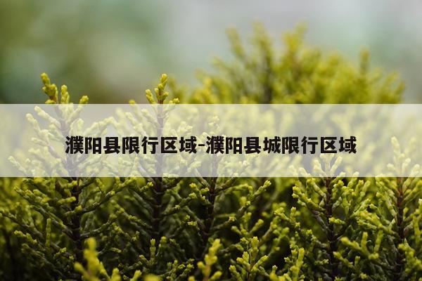 濮阳县限行区域-濮阳县城限行区域