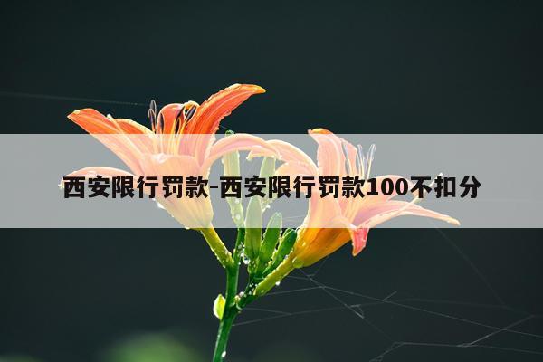西安限行罚款-西安限行罚款100不扣分