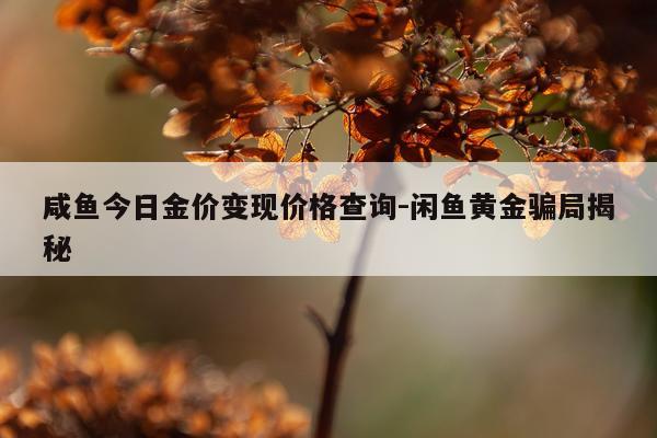 咸鱼今日金价变现价格查询-闲鱼黄金骗局揭秘