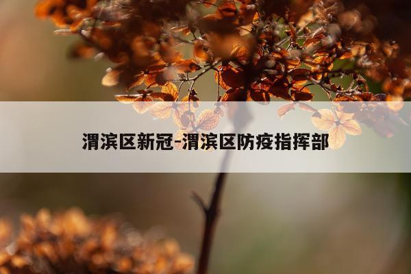 渭滨区新冠-渭滨区防疫指挥部