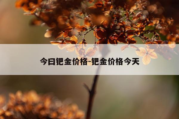 今曰钯金价格-钯金价格今天