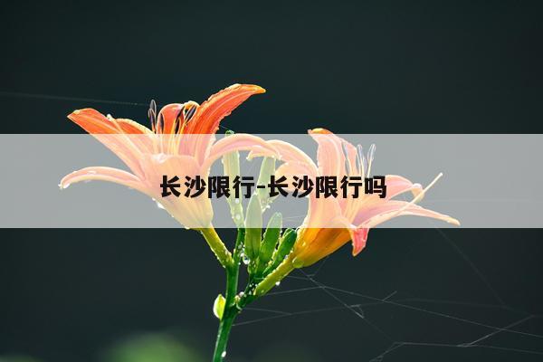 长沙限行-长沙限行吗