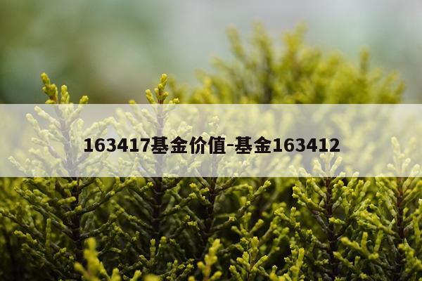 163417基金价值-基金163412