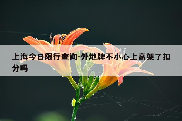 上海今日限行查询-外地牌不小心上高架了扣分吗