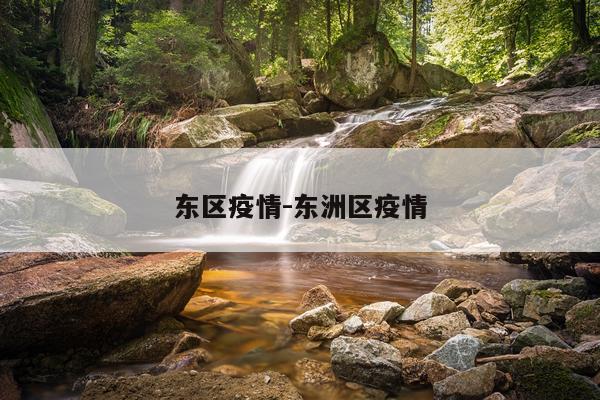 东区疫情-东洲区疫情
