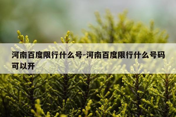 河南百度限行什么号-河南百度限行什么号码可以开