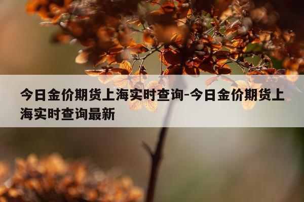 今日金价期货上海实时查询-今日金价期货上海实时查询最新