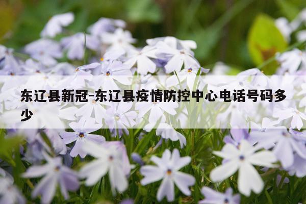 东辽县新冠-东辽县疫情防控中心电话号码多少