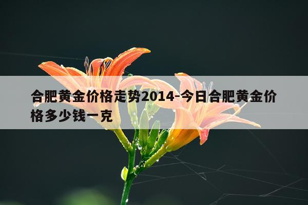 合肥黄金价格走势2014-今日合肥黄金价格多少钱一克