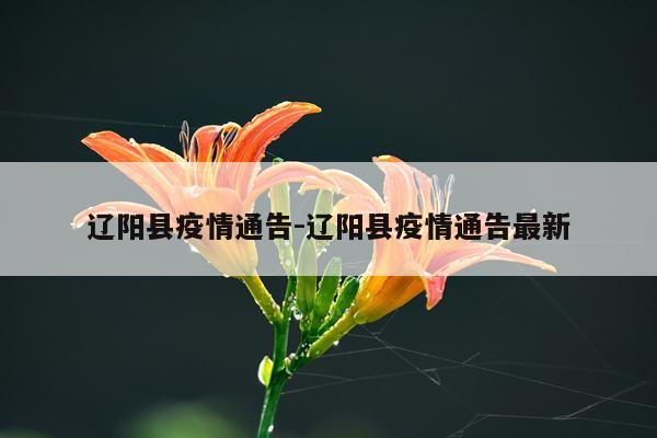 辽阳县疫情通告-辽阳县疫情通告最新