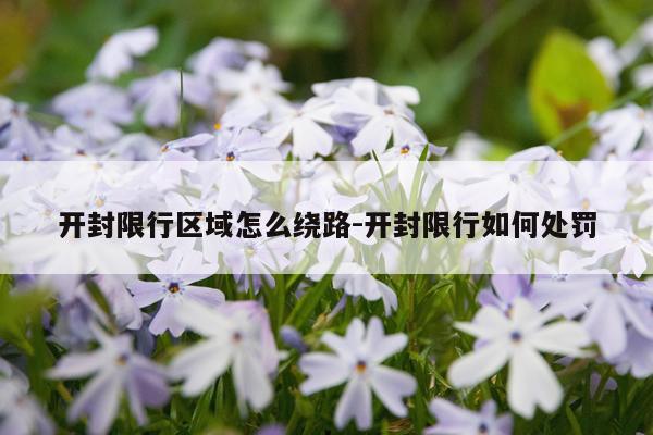 开封限行区域怎么绕路-开封限行如何处罚