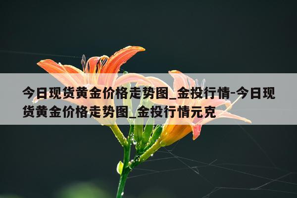 今日现货黄金价格走势图_金投行情-今日现货黄金价格走势图_金投行情元克