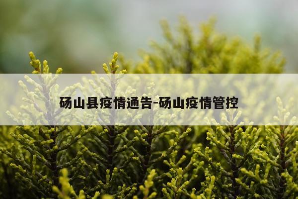 砀山县疫情通告-砀山疫情管控