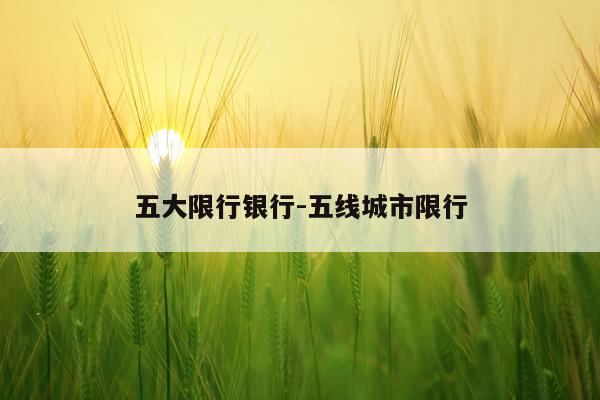 五大限行银行-五线城市限行