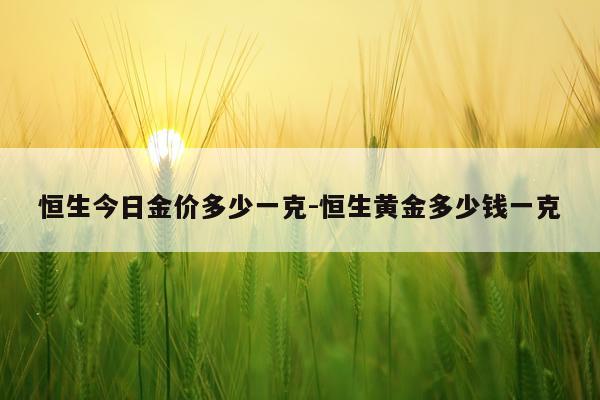 恒生今日金价多少一克-恒生黄金多少钱一克